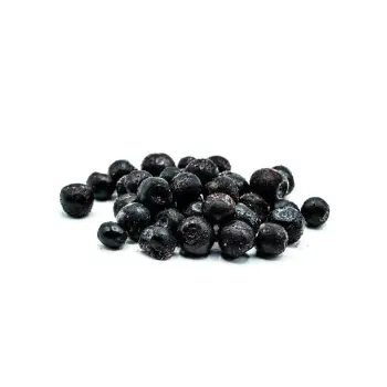  Fresh Dried Blueberries